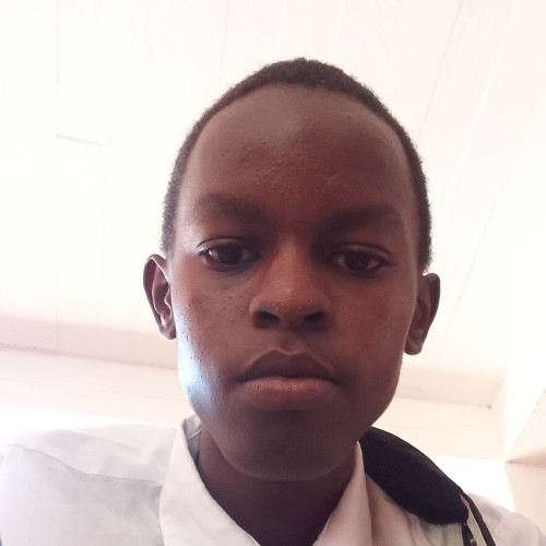 Alfred N. profile photo