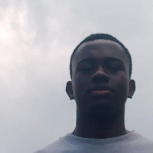 Bruno M. profile photo