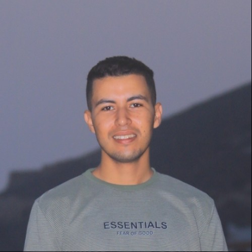 Lahoussine  M. profile photo