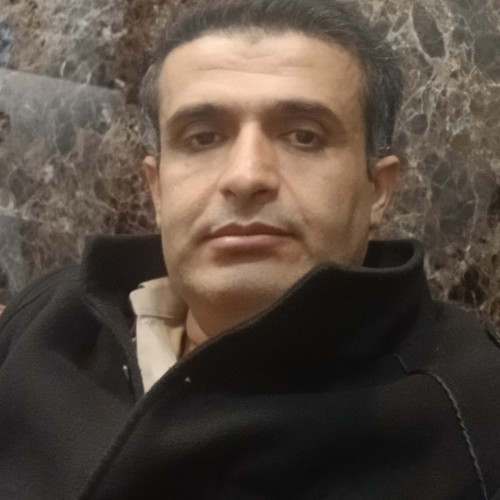 Ali M. profile photo