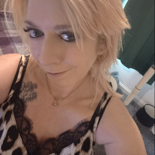 Sweet Chaos o. profile photo