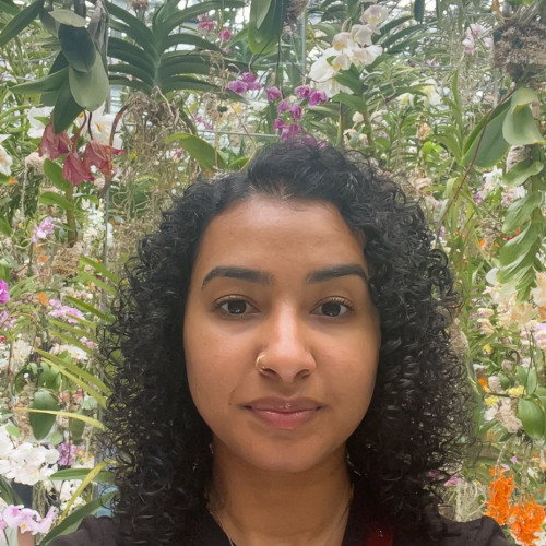 Navisa R. profile photo