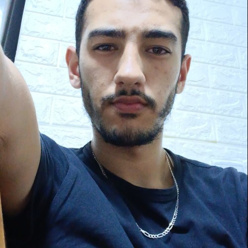 mehdi a. profile photo