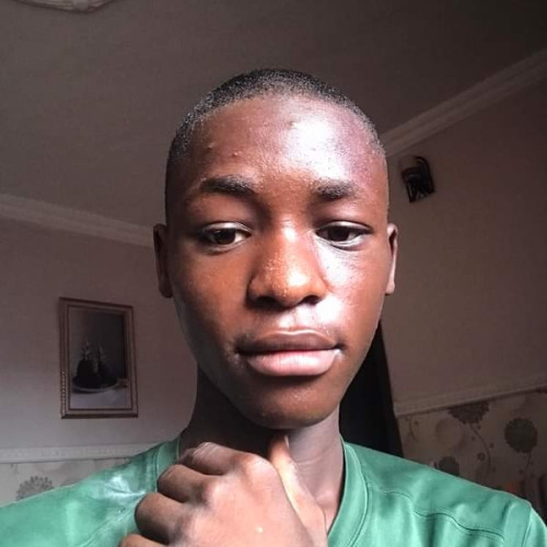Awwal  M. profile photo