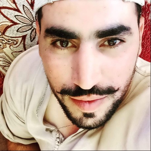 Ahmed F.