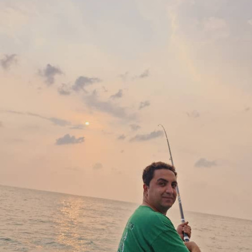 hamed o.