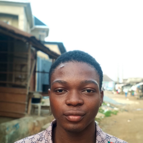 Adedeji  A. profile photo