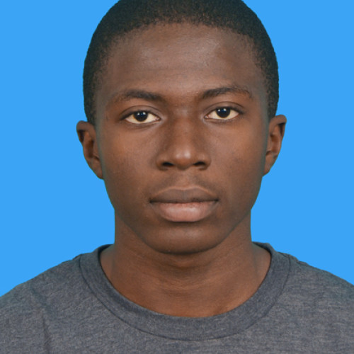 Fidéle Ami Ismaël  O. profile photo
