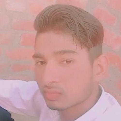 Raj S.