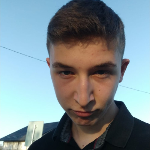 Bejinariu D.