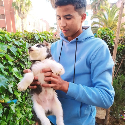 Yassine H. profile photo