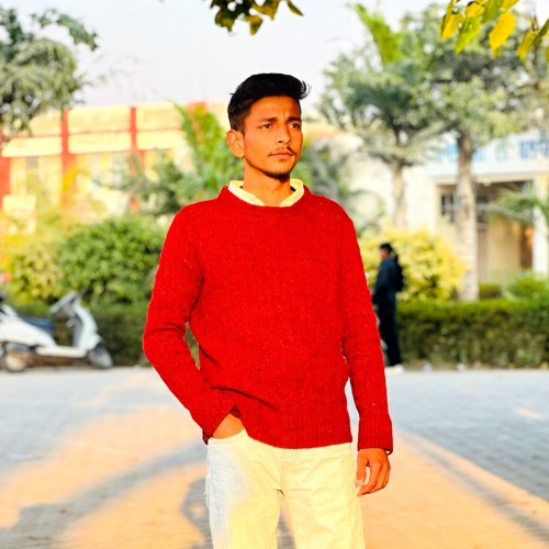 Satwinder S. profile photo