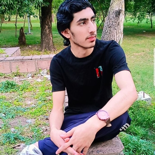 Zeeshii Z. profile photo