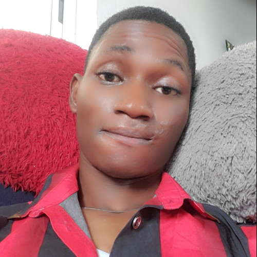 IDRIS  O. profile photo