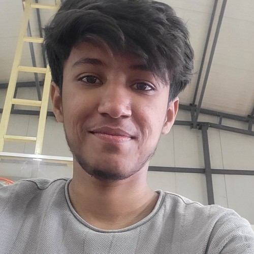 Aditya P.