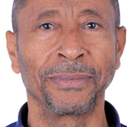 Mesfin H. profile photo