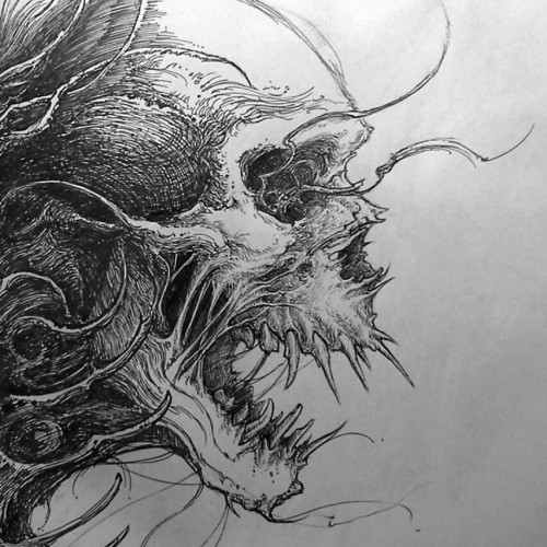 Aayush U. profile photo