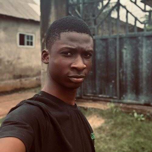 Emmanuel D. profile photo