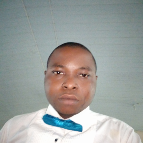 Amaechi P.