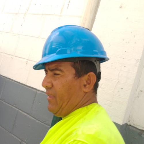 Yan M.