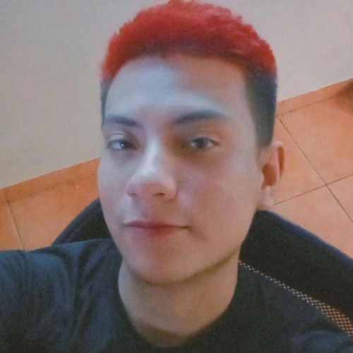 Bruno A.