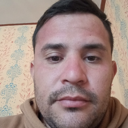 Luis P. profile photo