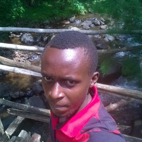 Roland K. profile photo