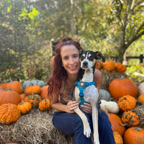 Katie  B. profile photo