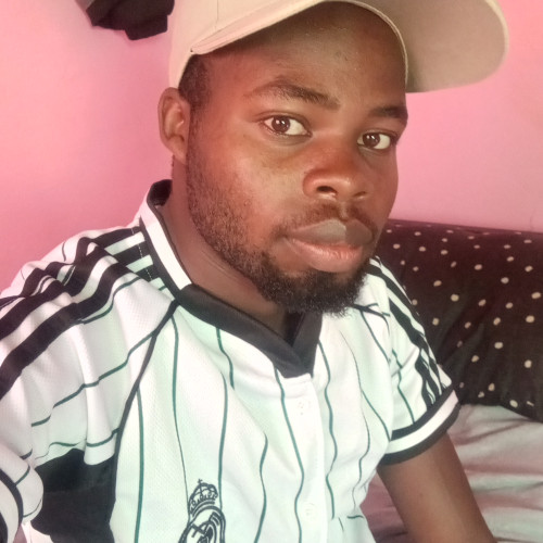 Vincent K. profile photo