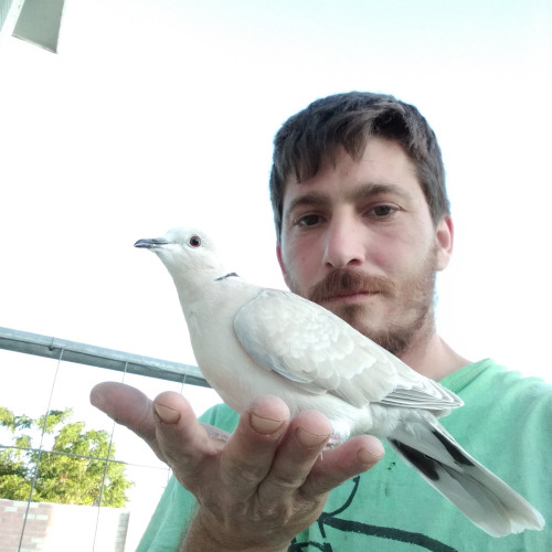 Alberto G. profile photo