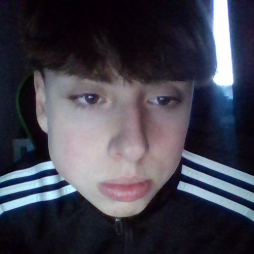 filip d.