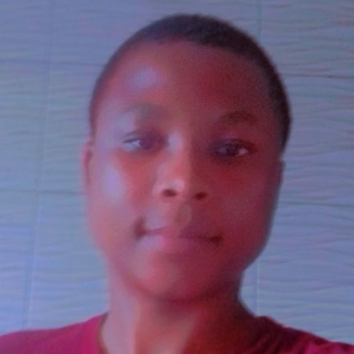 Ejike  H. profile photo