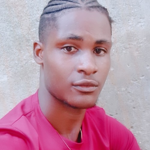 steven k. profile photo
