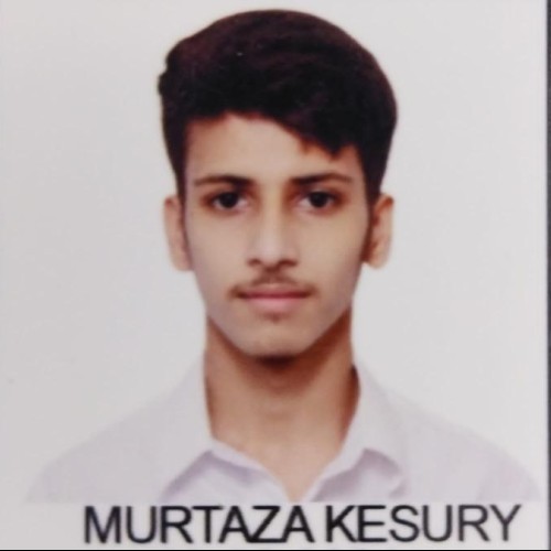 murtaza k.