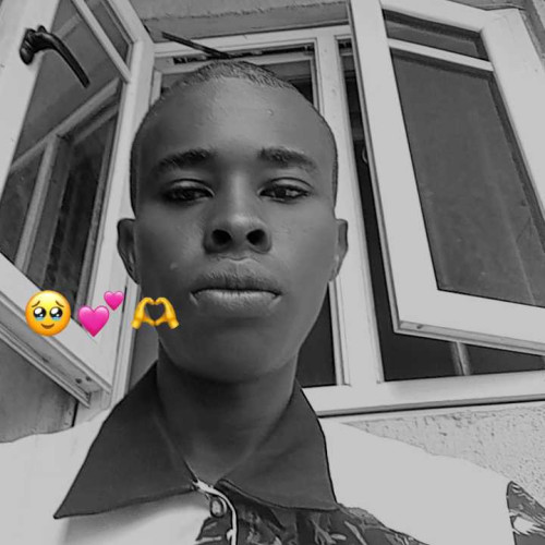 anere s. profile photo