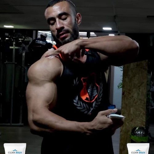 Mehdi F.