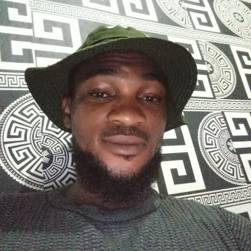 Olayiwola O. profile photo