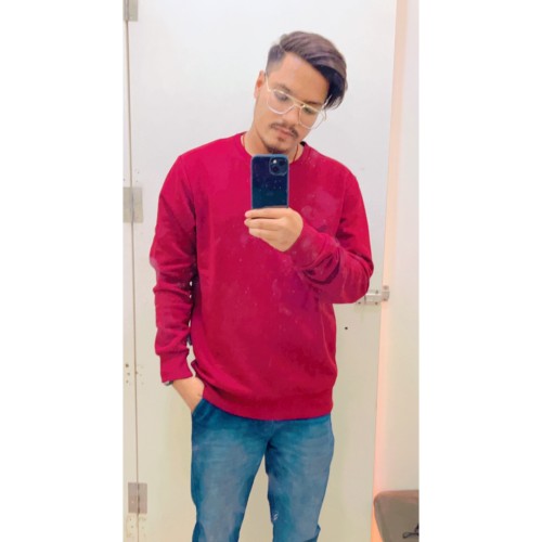 Hitesh Z.