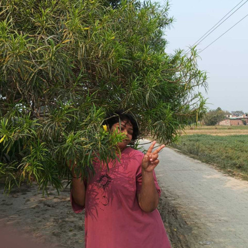 Garima S. profile photo