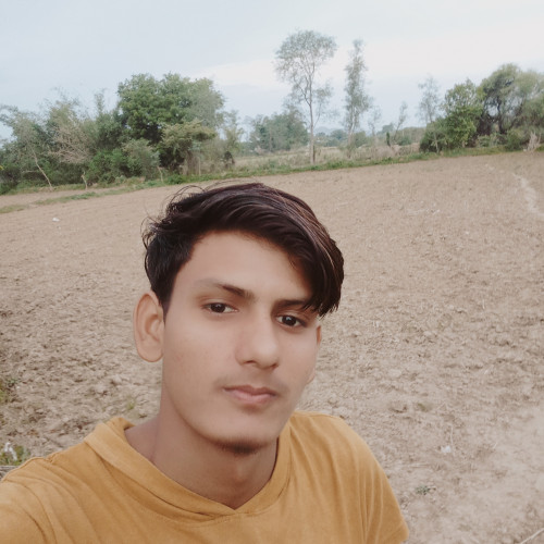 Shivam  T. profile photo