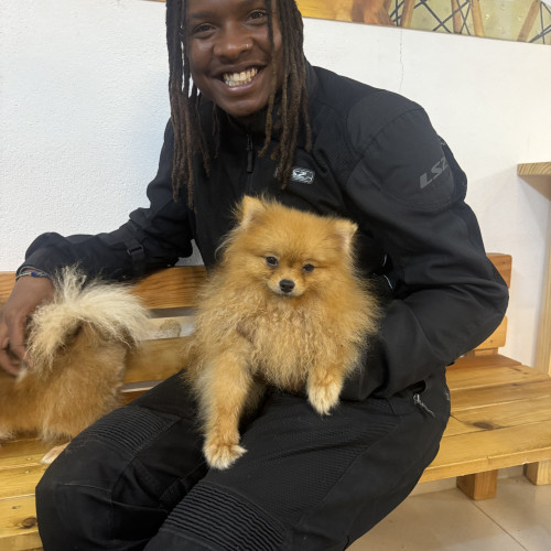 Ray D. profile photo