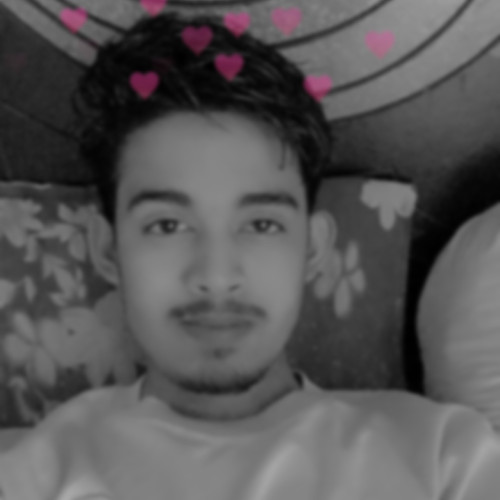 Ayan Islam S. profile photo