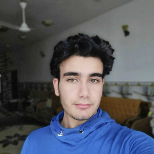 Ali M. profile photo
