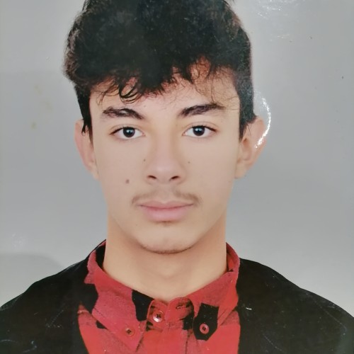 Ayman B.