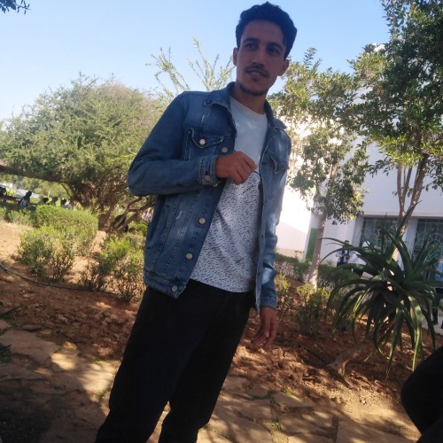 Hamid A.