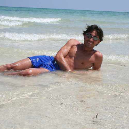 Daniele C. profile photo