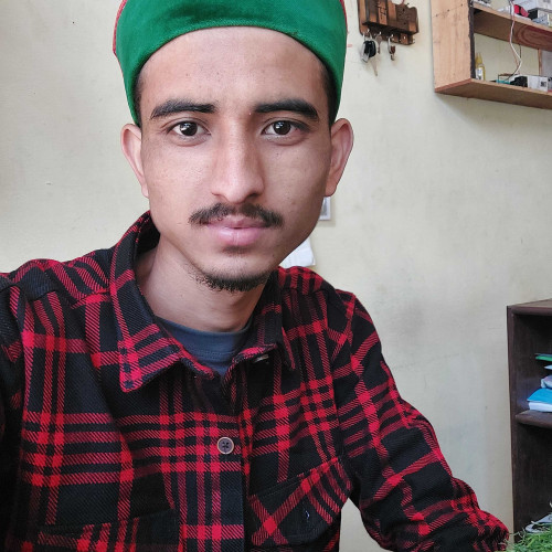 Sanam N. profile photo