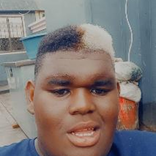 Lesego N. profile photo