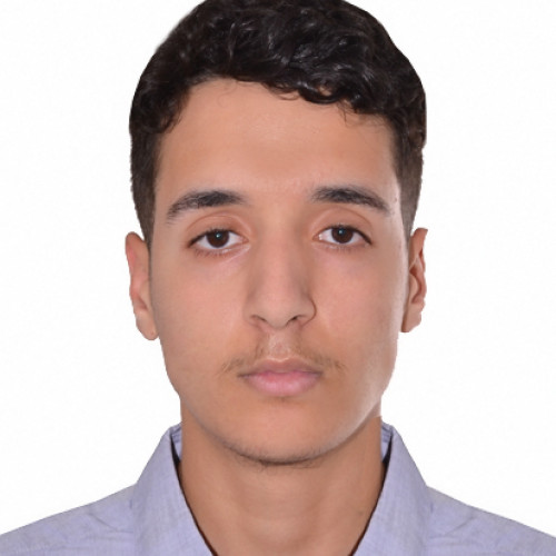 hamza d.