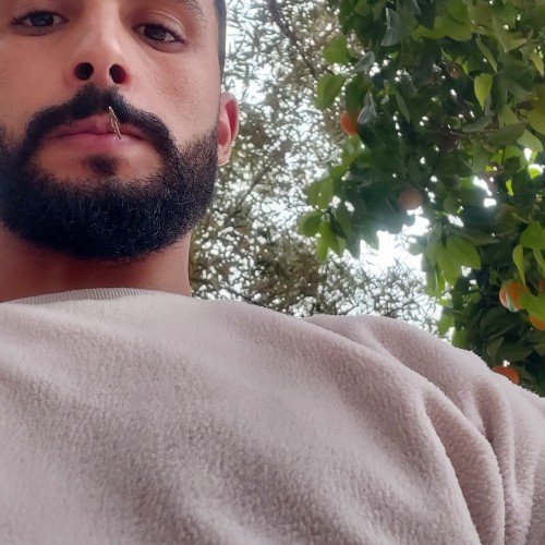 Ansuf M. profile photo